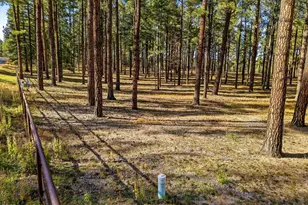 25319 US Hwy 191, Alpine, AZ 85920 - Photo 1