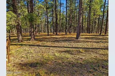 25319 US Hwy 191, Alpine, AZ 85920 - Photo 19
