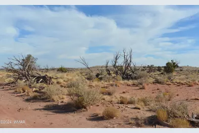 8272 Charolais Trail, Snowflake, AZ 85937 - Photo 1