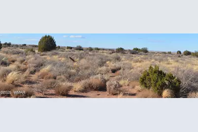 8224 Charolais Trail, Snowflake, AZ 85937 - Photo 3