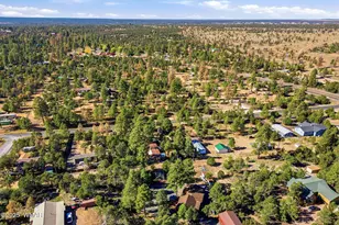 3381 Mogollon Dr, Overgaard, AZ 85933 - Photo 31