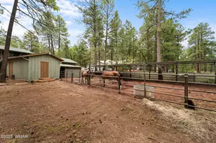 790 S Juniper Ln, Pinetop, AZ 85935 - Photo 29