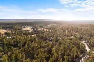 3510 W Black Oak Loop, Show Low, AZ 85901 - Photo 25