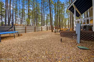 4041 Antler Ln, Show Low, AZ 85901 - Photo 23