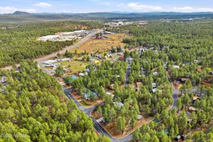 4041 Antler Ln, Show Low, AZ 85901 - Photo 33