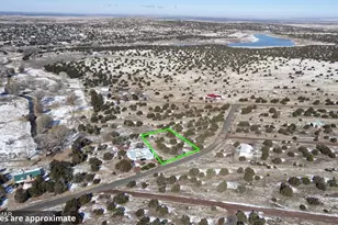 83 County Road 5083, Concho, AZ 85924 - Photo 1