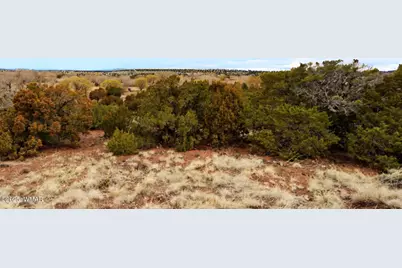 83 County Road 5083, Concho, AZ 85924 - Photo 7