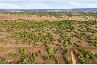 Tbd Silver Lake Blvd 16.32 Acres, Show Low, AZ 85901 - Photo 9