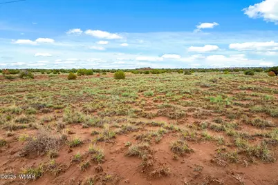 8199 Yaqui Lane, Snowflake, AZ 85937 - Photo 11