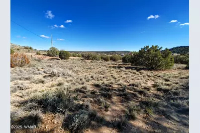 Parcel 1 W Shumway Rd, Taylor, AZ 85939 - Photo 5