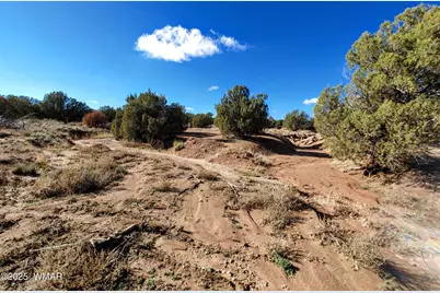 Parcel 2 W Shumway Rd, Taylor, AZ 85939 - Photo 7