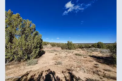 Parcel 2 W Shumway Rd, Taylor, AZ 85939 - Photo 5