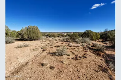 Parcel 3 W Shumway Rd, Taylor, AZ 85939 - Photo 3