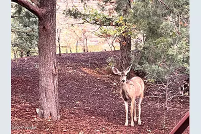 5410 N Saint Andrews Drive, Lakeside, AZ 85929 - Photo 11