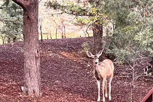 5410 N St Andrews Dr, Lakeside, AZ 85929 - Photo 11