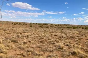 5324 White Antelope Road, Snowflake, AZ 85937 - Photo 19