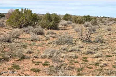 5324 White Antelope Road, Snowflake, AZ 85937 - Photo 11