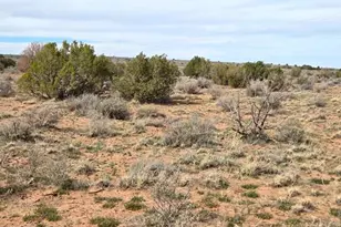 5324 White Antelope Road, Snowflake, AZ 85937 - Photo 11