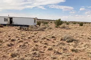 5324 White Antelope Road, Snowflake, AZ 85937 - Photo 3