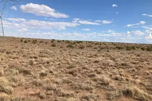 5324 White Antelope Road, Snowflake, AZ 85937 - Photo 3