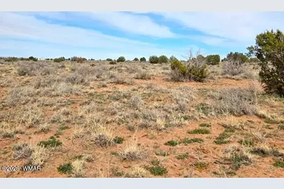 5324 White Antelope Road, Snowflake, AZ 85937 - Photo 15