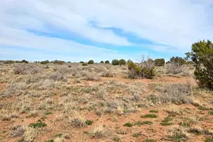 5324 White Antelope Road, Snowflake, AZ 85937 - Photo 15