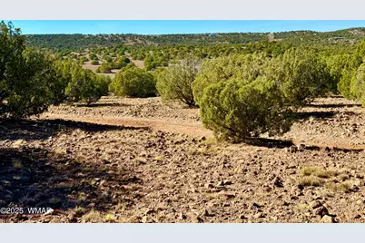 Tbd Kirkland Dr 20 Acres, Concho, AZ 85924 - Photo 17