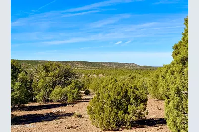 Tbd Kirkland Dr 20 Acres, Concho, AZ 85924 - Photo 9