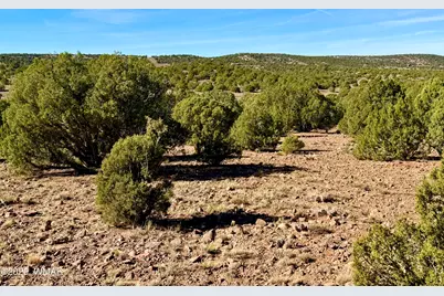 Tbd Kirkland Dr 20 Acres, Concho, AZ 85924 - Photo 7