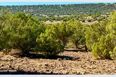 Tbd Kirkland Dr 20 Acres, Concho, AZ 85924 - Photo 15