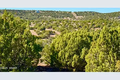 Tbd Kirkland Dr 20 Acres, Concho, AZ 85924 - Photo 3