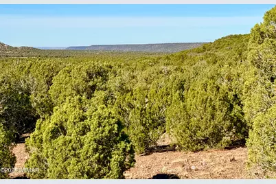 Tbd Kirkland Dr 20 Acres, Concho, AZ 85924 - Photo 1