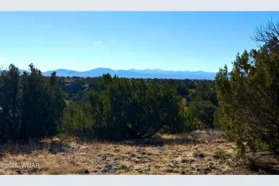 Tbd Cr 8637 Lot #210, Concho, AZ 85924 - Photo 5