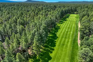 3065 Aspen Loop, Pinetop, AZ 85935 - Photo 3