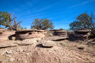 8555 Reata Ln, Snowflake, AZ 85937 - Photo 53