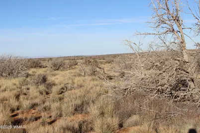 Lot 224 Ccr, Unit 2 #2, Heber, AZ 85928 - Photo 3