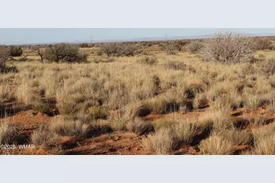 Lot 224 Ccr, Unit 2 #2, Heber, AZ 85928 - Photo 1