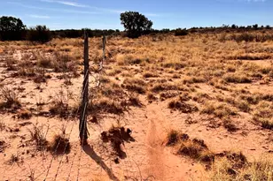 8581 Lawson Ln, Snowflake, AZ 85937 - Photo 1