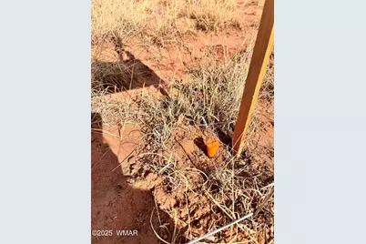 8581 Lawson Lane, Snowflake, AZ 85937 - Photo 9