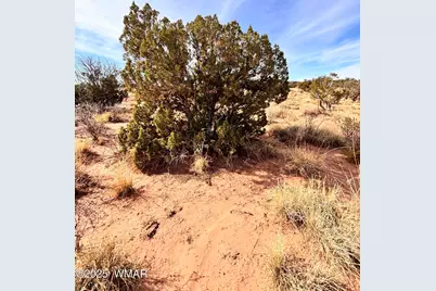 8581 Lawson Lane, Snowflake, AZ 85937 - Photo 7
