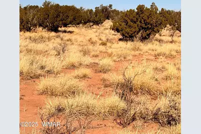 8581 Lawson Lane, Snowflake, AZ 85937 - Photo 3