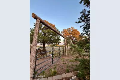 280 N8355 Parcel 1, Concho, AZ 85924 - Photo 5