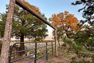 280 N8355 Parcel 1, Concho, AZ 85924 - Photo 5