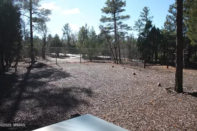 1260 S Deer Lane, Show Low, AZ 85901 - Photo 47