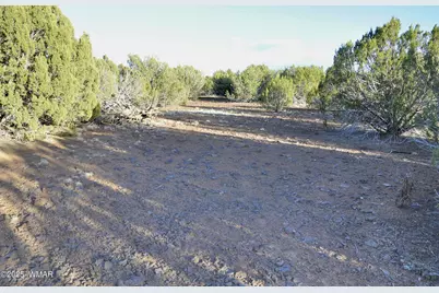 11D Lodge Pole Rd, Show Low, AZ 85901 - Photo 15