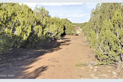 11D Lodge Pole Rd, Show Low, AZ 85901 - Photo 13