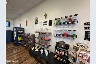 217 S Mountain Avenue, Springerville, AZ 85938 - Photo 17