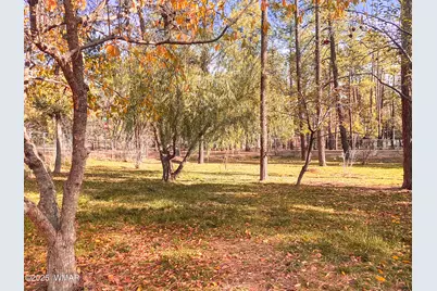 6673 Forest Avenue, Lakeside, AZ 85929 - Photo 5