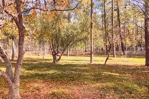 6673 Forest Ave, Lakeside, AZ 85929 - Photo 31