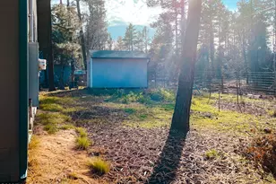 6673 Forest Ave, Lakeside, AZ 85929 - Photo 29